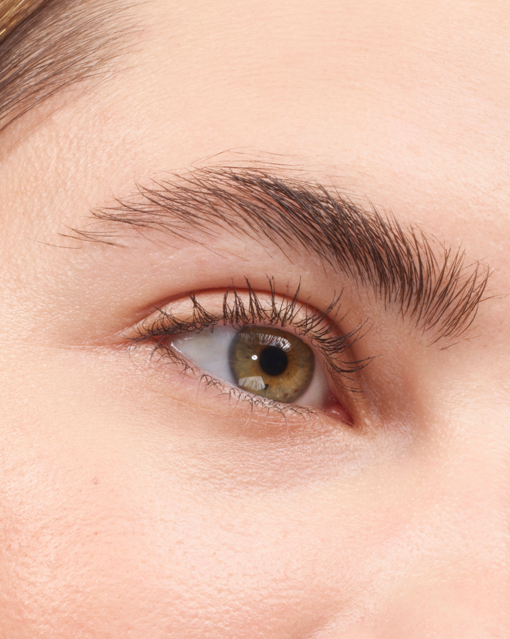 Boy Brow